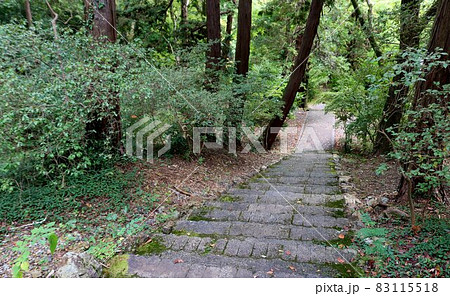 神聖な秋の山道　参道を下りる　風景 83115518