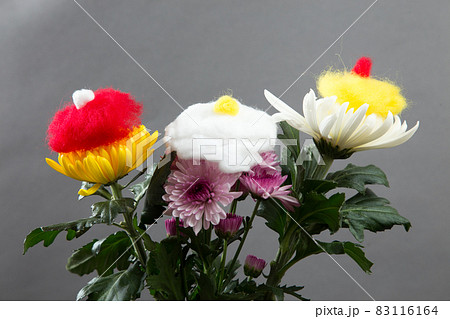 着せ綿 着せ綿 83116164