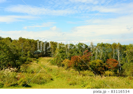 紅葉の始まり 峰の原高原 紅葉の始まり 峰の原高原 83116534