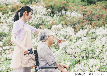 花畑を散歩する高齢者女性と女性スタッフ 83116875