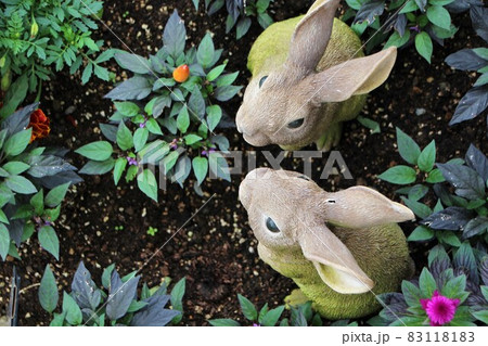 花壇に飾られた二羽のウサギの写真素材 1181