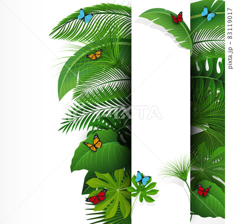 Sign with text space of Tropical Leaves and butterflies. Suitable for nature concept, vacation, and summer holiday. Vector Illustration 83119017