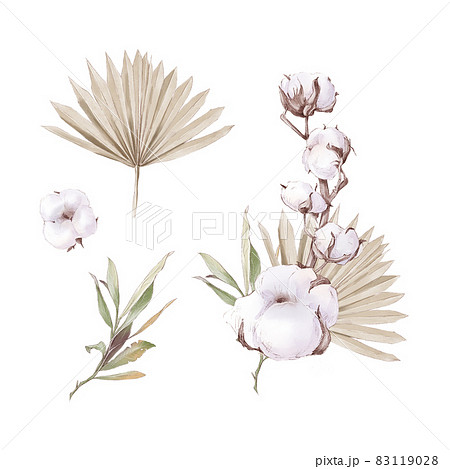 Set Of Cute Cotton Flowers Branches And Leaves のイラスト素材