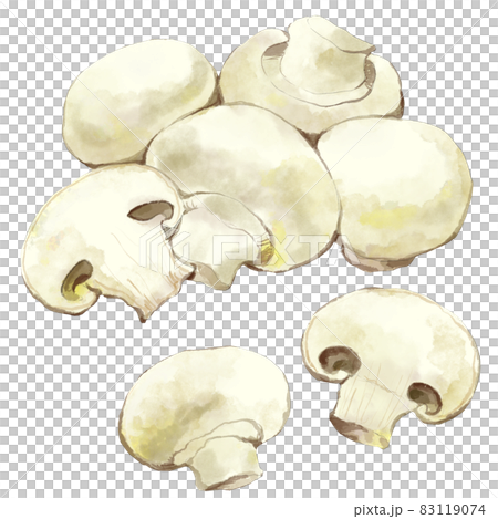 White mushroom watercolor style set 83119074