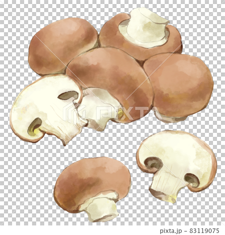 棕色蘑菇水彩風格集 棕色蘑菇水彩風格集 83119075