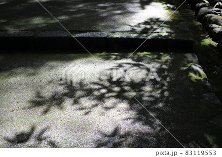 参道に映る影が作る模様 参道に映る影が作る模様 83119553