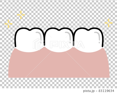 潔白有光澤的牙齒（一字排開）/簡單畫線 83119634