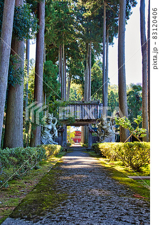 越前　霊泉寺 83120406
