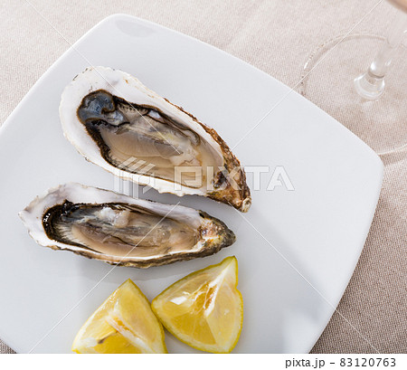 Oysters with lemon on plate Oysters with lemon on plate 83120763