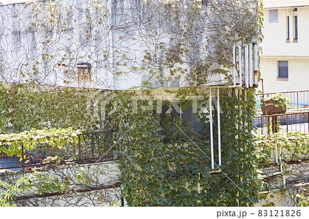 植物に覆われた建物 83121826