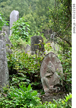 長瀞七草寺:真言宗智山派 遍照寺 長瀞七草寺:真言宗智山派 遍照寺 83122298