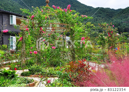 河口湖大石公園のバラ園散策路と河口湖自然生活館 83122354