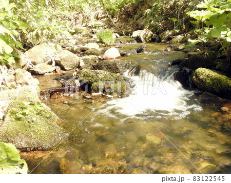 北上の沢川(北海道余市郡赤井川村) 83122545