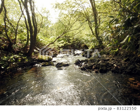 北上の沢川(北海道余市郡赤井川村) 83122550