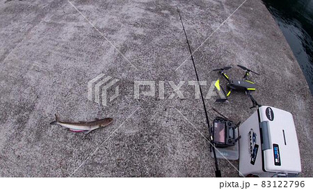 ドローンフィッシングで巨大エソゲット 83122796