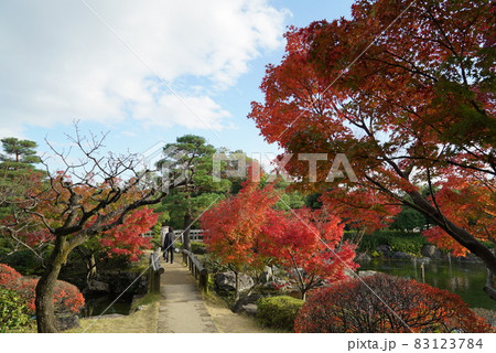 秋の白鳥庭園の風景 83123784