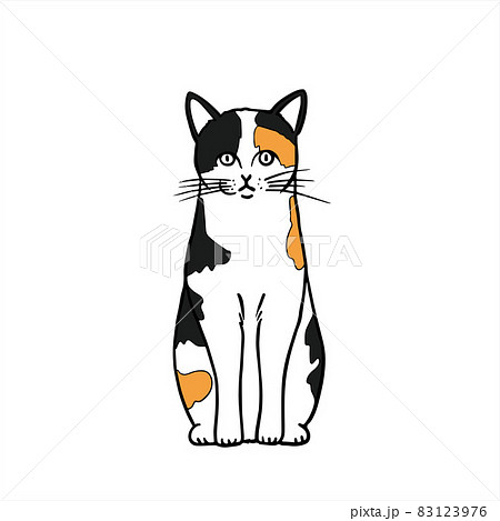 前を向いた三毛猫 前を向いた三毛猫 83123976