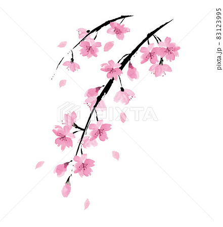 しだれ桜の墨絵 ベクターイラストのイラスト素材