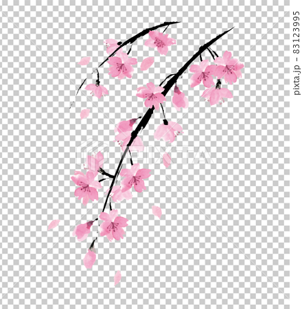 しだれ桜の墨絵　ベクターイラスト 83123995