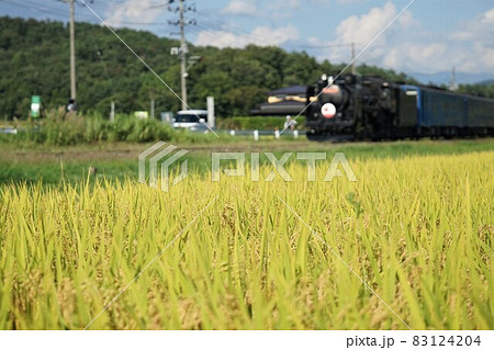 JR釜石線　水田地帯を走るSL銀河 83124204
