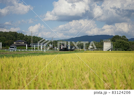 JR釜石線　水田地帯を走るSL銀河 83124206