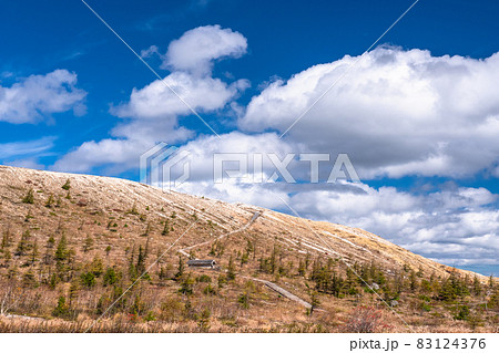 《長野県》草津白根山・秋 83124376