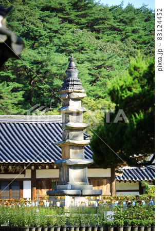 足 橋 ブリッジ 83124452