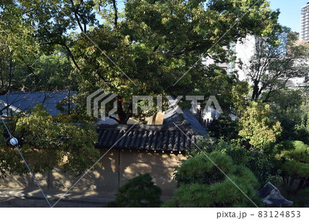 西宮神社 西宮神社 83124853