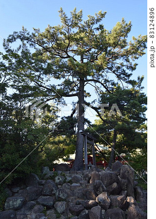 西宮神社 西宮神社 83124896