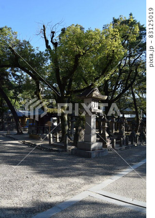 西宮神社 西宮神社 83125019