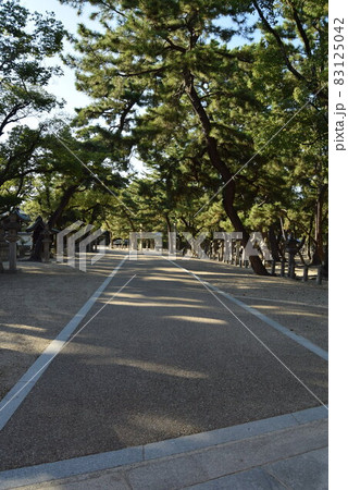 西宮神社 83125042