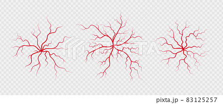 Set human veins and arteries. Red branching spider-shaped blood vessels and capillaries. Vector illustration isolated on transparent background 83125257