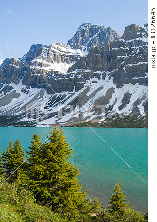 春のカナディアン・ロッキー　バンフ国立公園　ボウ湖（カナダ） 83126645