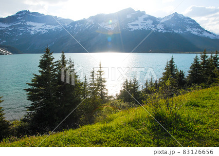 春のカナディアン・ロッキー バンフ国立公園 ボウ湖(カナダ) 春のカナディアン・ロッキー バンフ国立公園 ボウ湖(カナダ) 83126656