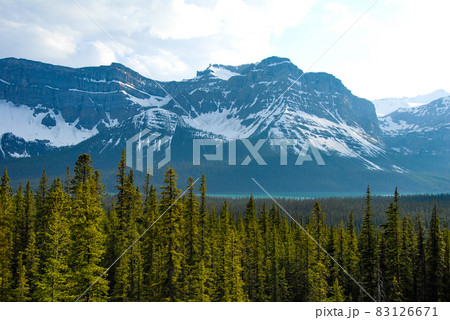 春のカナディアン・ロッキー バンフ国立公園 ヘクター湖(カナダ) 春のカナディアン・ロッキー バンフ国立公園 ヘクター湖(カナダ) 83126671