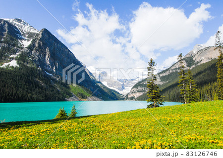 春のカナディアン・ロッキー バンフ国立公園 レイク・ルイーズ(カナダ) 春のカナディアン・ロッキー バンフ国立公園 レイク・ルイーズ(カナダ) 83126746
