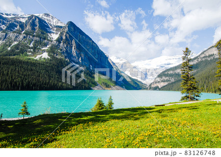 春のカナディアン・ロッキー　バンフ国立公園　レイク・ルイーズ（カナダ） 83126748