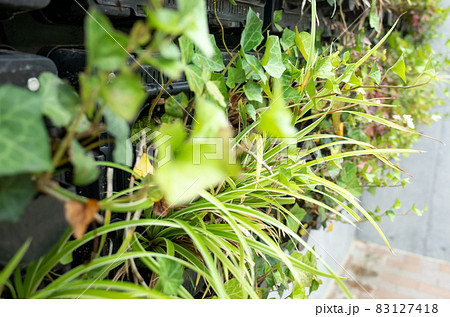 都市緑化のイメージ〜地球温暖化対策 83127418