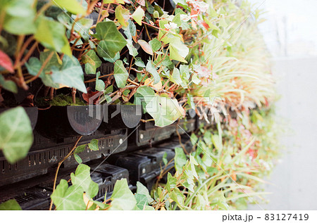 都市緑化のイメージ〜地球温暖化対策 83127419