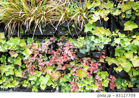 都市緑化のイメージ〜地球温暖化対策 83127709