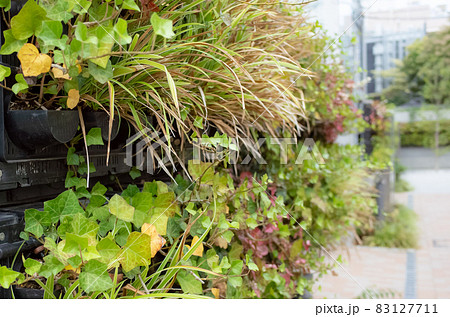 都市緑化のイメージ〜地球温暖化対策 83127711