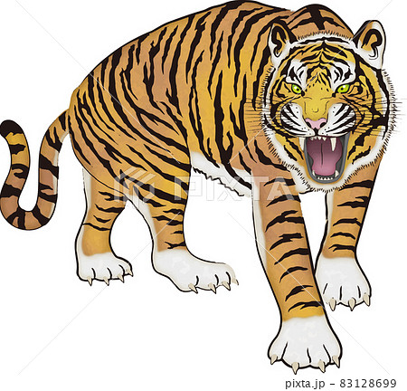 虎イラスト15 83128699