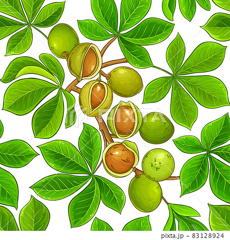 mongongo vector pattern on white background mongongo vector pattern on white background 83128924