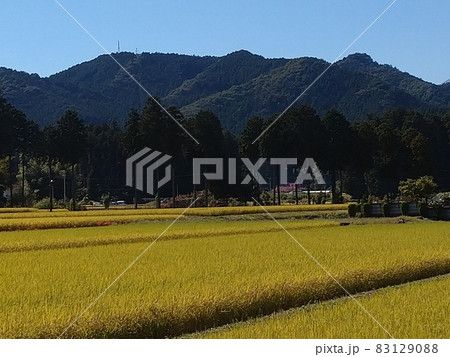 日本の秋の里山 83129088