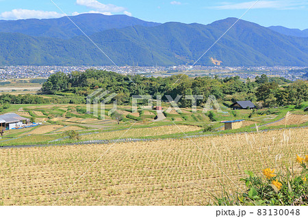 姨捨の棚田　秋景 83130048