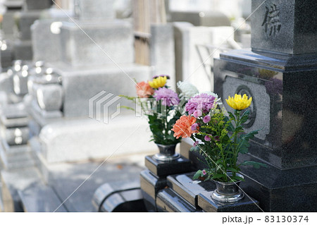 墓地花1 墓地花1 83130374