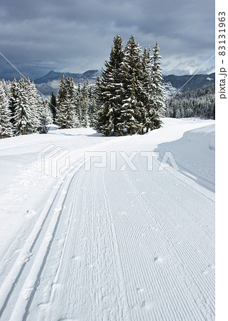 Cross-country ski track Cross-country ski track 83131963