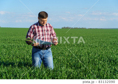 a man as a farmer poses in a field, dressed in a plaid shirt and jeans, checks reports and inspects young sprouts crops of wheat, barley or rye, or other cereals, a concept of agriculture and agronomy a man as a farmer poses in a field, dressed in a plaid shirt and jeans, checks reports and inspects young sprouts crops of wheat, barley or rye, or other cereals, a concept of agriculture and agronomy 83132090