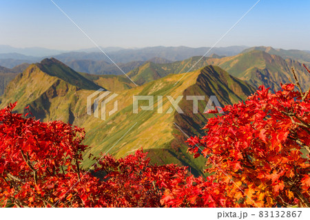 秋の谷川岳展望・紅葉シーズン 83132867