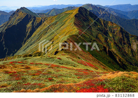 秋晴れと谷川連峰の紅葉 83132868
